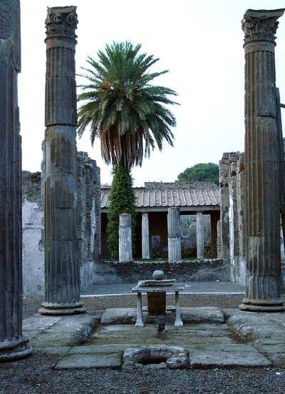 Vista de un atrio, posiblemente de la Casa del Fauno de Roman